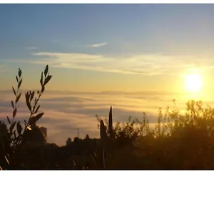  Bed & Breakfast Vico Del Poeta